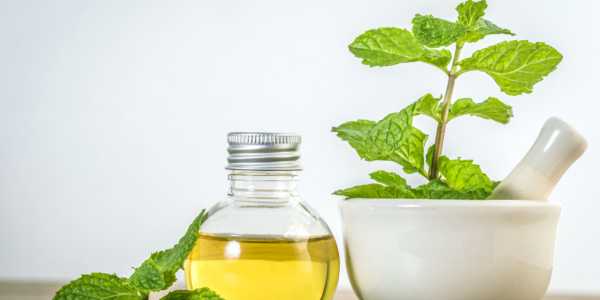 Incredible Health Benefits of Peppermint Oil