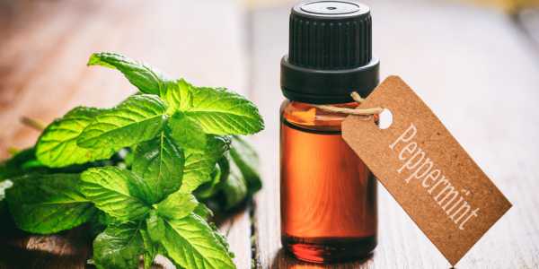 Incredible Health Benefits of Peppermint Oil