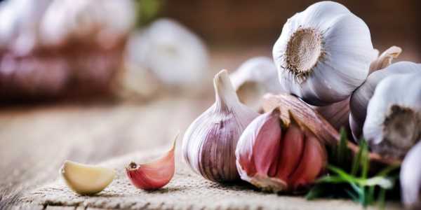 Allium Sativum (Garlic) – One Remedy, Many Benefits