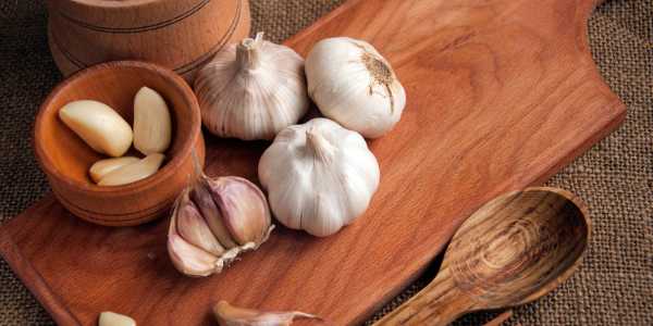 Allium Sativum (Garlic) – One Remedy, Many Benefits