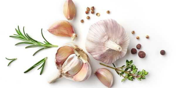 Allium Sativum (Garlic) – One Remedy, Many Benefits