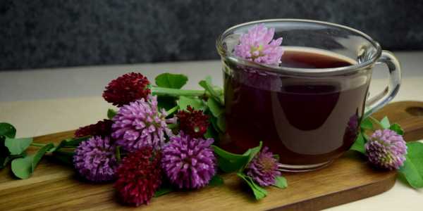 Red Clover Extract – Producing Estrogen-like Effects