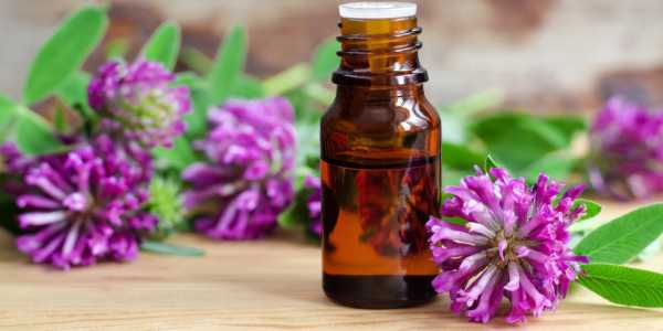 Red Clover Extract – Producing Estrogen-like Effects