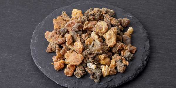 Commiphora Mukul – Managing high cholesterol levels